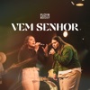 Vem Senhor - Single