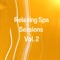 Dan Jones - Relaxing Spa Music lyrics