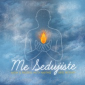 Me Sedujiste artwork