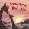 Somewhere Right Now (feat. Arum Rae & Sami Freeman) - Single album lyrics, reviews, download