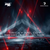 Tricky Melody (Extended Mix) artwork