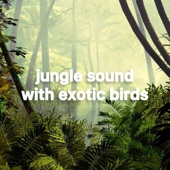 Jungle Sound artwork