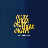 Okay Okayy (feat. Common Kings) artwork