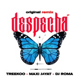 Despechá (Remix) artwork