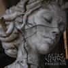 Fragments - Single