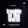 Trouble in the World - Single album lyrics, reviews, download