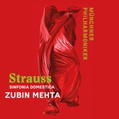 Strauss: Sinfonia Domestica artwork