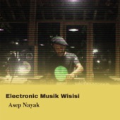 Electronic Musik Wisisi artwork