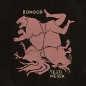 Testi Mesék (feat. DolBeats) artwork