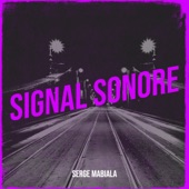 Signal Sonore artwork