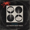 Sturks - See You When I See You