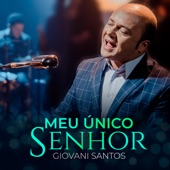 Meu Único Senhor artwork