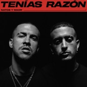 Tenías razón artwork