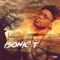 Inhliziyo (feat. Ntosh) - Isonic T lyrics