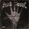 Scar Tissue - Single album lyrics, reviews, download
