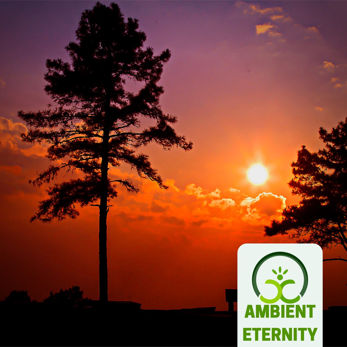 ‎Ambient Eternityの「Forest Noise - EP」をApple Musicで