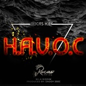 H.A.V.O.C artwork