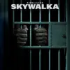 Skywalka - Single album lyrics, reviews, download