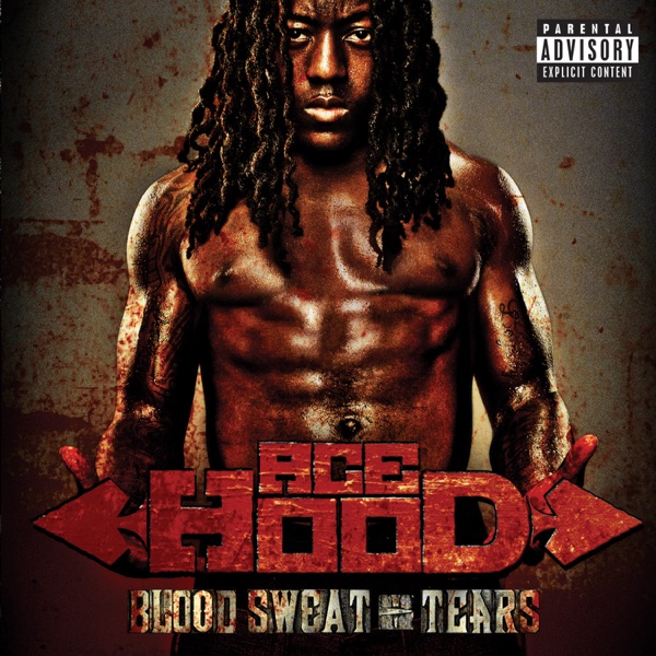 Blood Sweat & Tears - Ace Hood