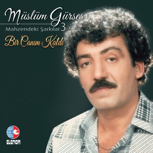 Bir Canım Kaldı (Mahzendeki Şarkılar 3) - Single
