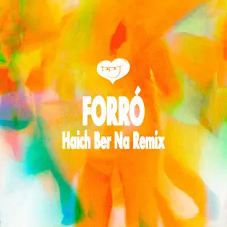 Forró (Haich Ber Na Remix) by PPJ song reviws