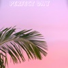 Perfect Day - Single