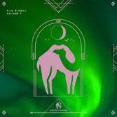 Cafe De Anatolia: Dubai Nights by Billy Esteban (DJ Mix) artwork
