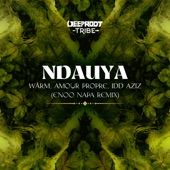 Ndauya (Enoo Napa Remix) artwork