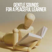 Gentle Sounds for a Peaceful Learner artwork