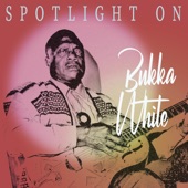 Spotlight on Bukka White artwork