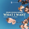 What I Want - Single