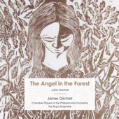 Julian Marshall: The Angel in the Forest - EP artwork