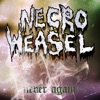 Never Again - Single