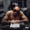 ANML SHLTR (feat. ANML SHLTR) - Gunplay lyrics