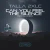 Stream & download Can You Feel the Silence Reloaded - Single