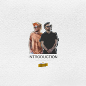 Introduction - Gold Up
