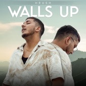 Walls Up artwork