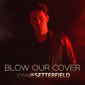 Blow Our Cover artwork