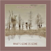 Ever More Nest - What's Gone Is Gone