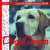 Stylish and Mature BGM album lyrics, reviews, download