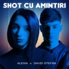 Shot Cu Amintiri - Single
