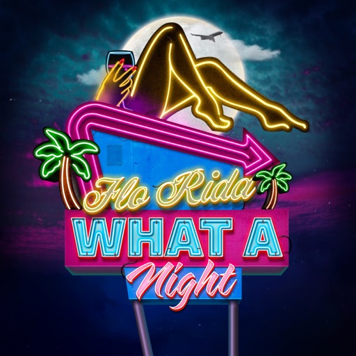 Art for What A Night by Flo Rida