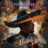 Pepe Aguilar - No Me Hablen de Amor