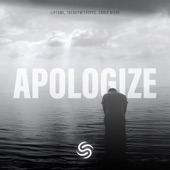 Apologize (feat. Seconds From Space) [Extended] artwork