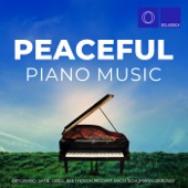 Bryukhno, Satie, Grieg, Beethoven, Mozart, Bach, Schumann, Debussy: Peaceful Piano Music artwork