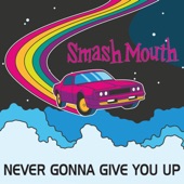 Never Gonna Give You Up artwork