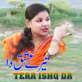 Tera Ishq Da (New Punjabi Song 2022) [Radio Edit] artwork