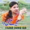 Tera Ishq Da (New Punjabi Song 2022) [Radio Edit] artwork