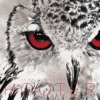 Hooter