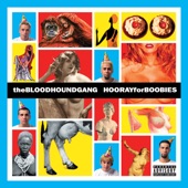 Hooray For Boobies (Expanded Edition) artwork